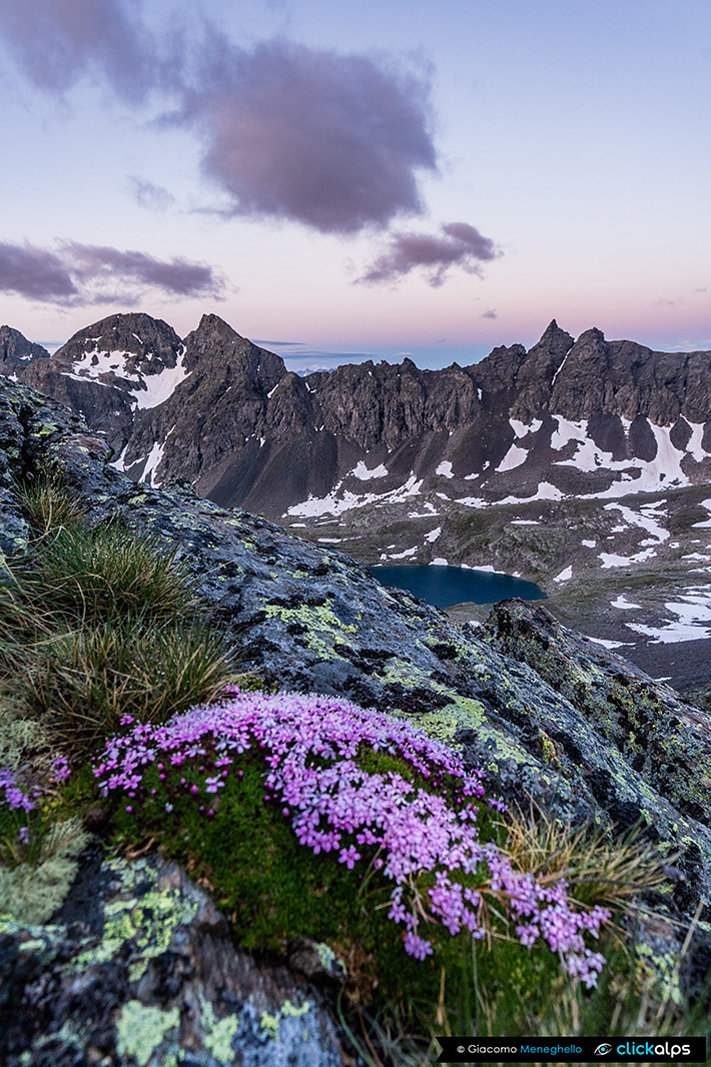 Paesaggi_Val_Viola_Capanna_Dosdè